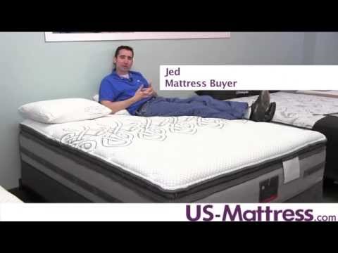 Sealy Posturepedic Platinum Adorned Plush Euro Pillow...