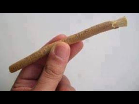 Kids Try Miswak For the first time | The oldest toothbrush in history