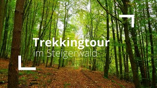 Steigerwald