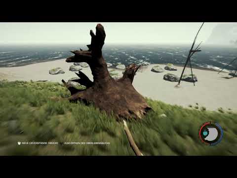 The Forest Ankunft in russland