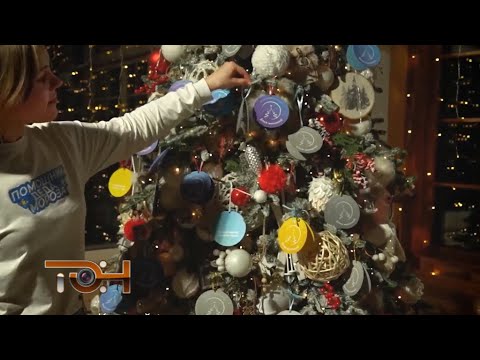 «Ёлка желаний 2025–2026»