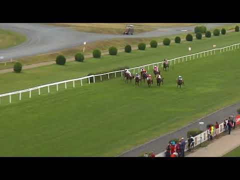 Devadesátka EquiTV z VC Prahy a St. Leger v Chuchli