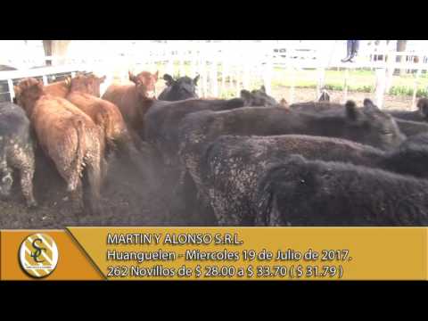 19-07-17 - Venta de Novillos - Martín y Alonso S.R.L. - Huanguelén -