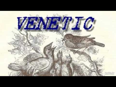 Venetic - Sence