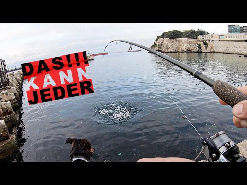 MEGA EINFACH! Den kann wirklich jeder fangen!! Angeln an der Oberfläche!