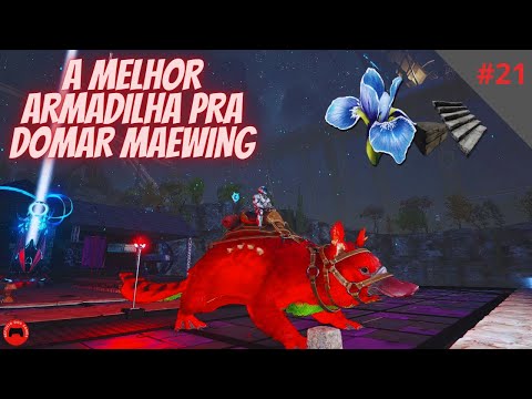 ARK FJODUR #21:  COMO DOMAR MAEWING / A MELHOR ARMADILHA PARA MAEWING