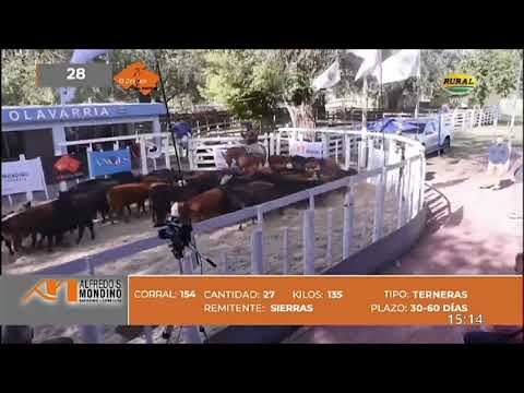 31-03-23 - Remate El Origen del Destete - Alfredo S. Mondino - Olavarría, Bs.As.