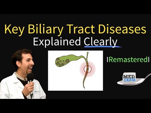 Key Biliary Tract / Cholestatic Diseases & Labs Explained