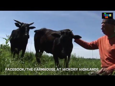 Toe Knee  Show 4 REAL final med res part 1 fHHH