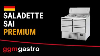 Saladette réfrigérée PREMIUM PLUS - 978mm - 230L - 2 portes - avec découpe pour 6x GN 1/3 & 3x GN 1/6 & Couvercle inox