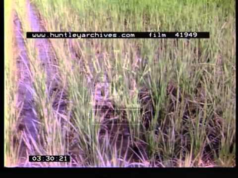 Burkina Faso in 1974.  Film 41949