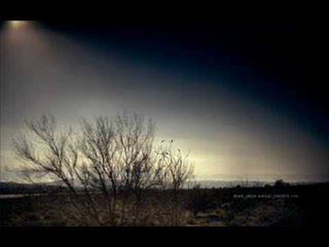 Nine Inch Nails - Ghosts III - 25