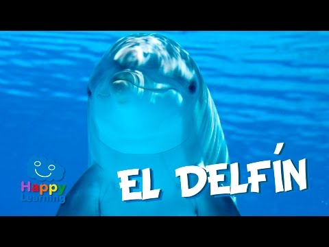 , title : 'El Delfín | Videos Educativos para Niños'