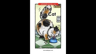 The Big Cat - A-Z Leveled Book A2 (English)