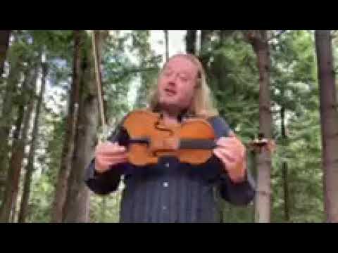Plant Seeds of Music | Remote From The Redwoods with Edwin Huizinga