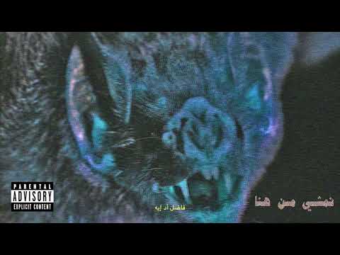 Miniatura de Tiger - تايجر