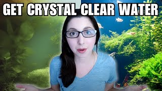 Why Your Aquarium Looks Cloudy | How To Fix Cloudy Aquarium WaterThe Process