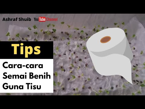 I menguji impotensi Penis Kecil ru