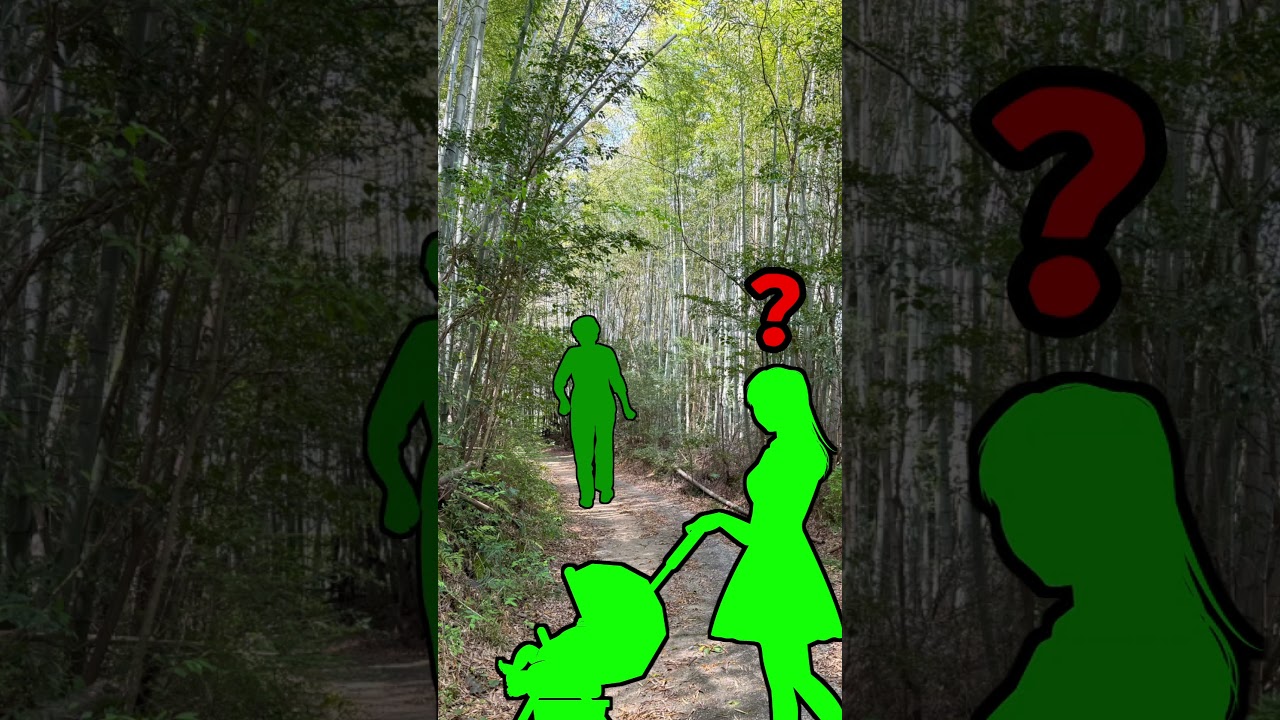 神隠し？神社を訪れた女性が忽然と姿を消した【赤城神社主婦行方不明事件】#shorts