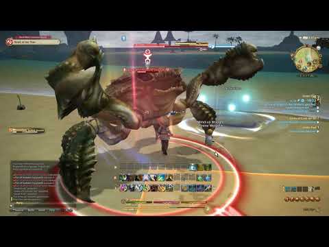 FFXIV ARR : Lv30 Leves of Costa del Sol - Walkthrough