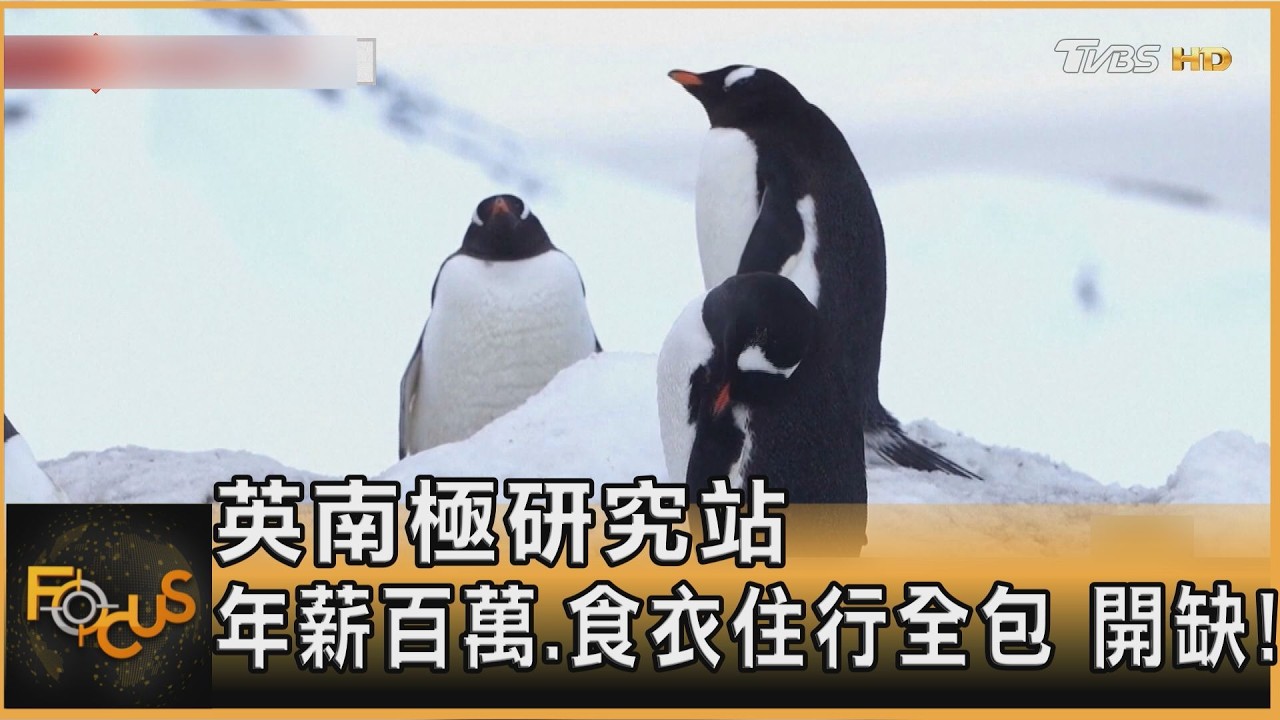 英南極研究站 年薪百萬.食衣住行全包 開缺!