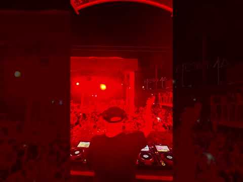 Fred Pellichero Live @AmnesiaCap