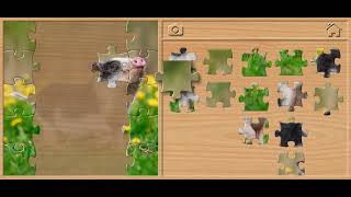 🐷 Mini Pig Jigsaw Puzzle - Animals Puzzles for Kids Walkthrough