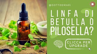 Ritenzione idrica: meglio linfa di betulla o pilosella