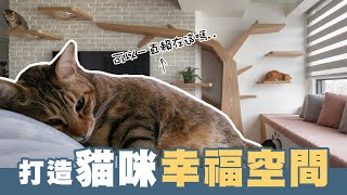 貓奴必看！｜解析貓咪行為，打造人貓共住的舒適空間《貓宅設計全書2》