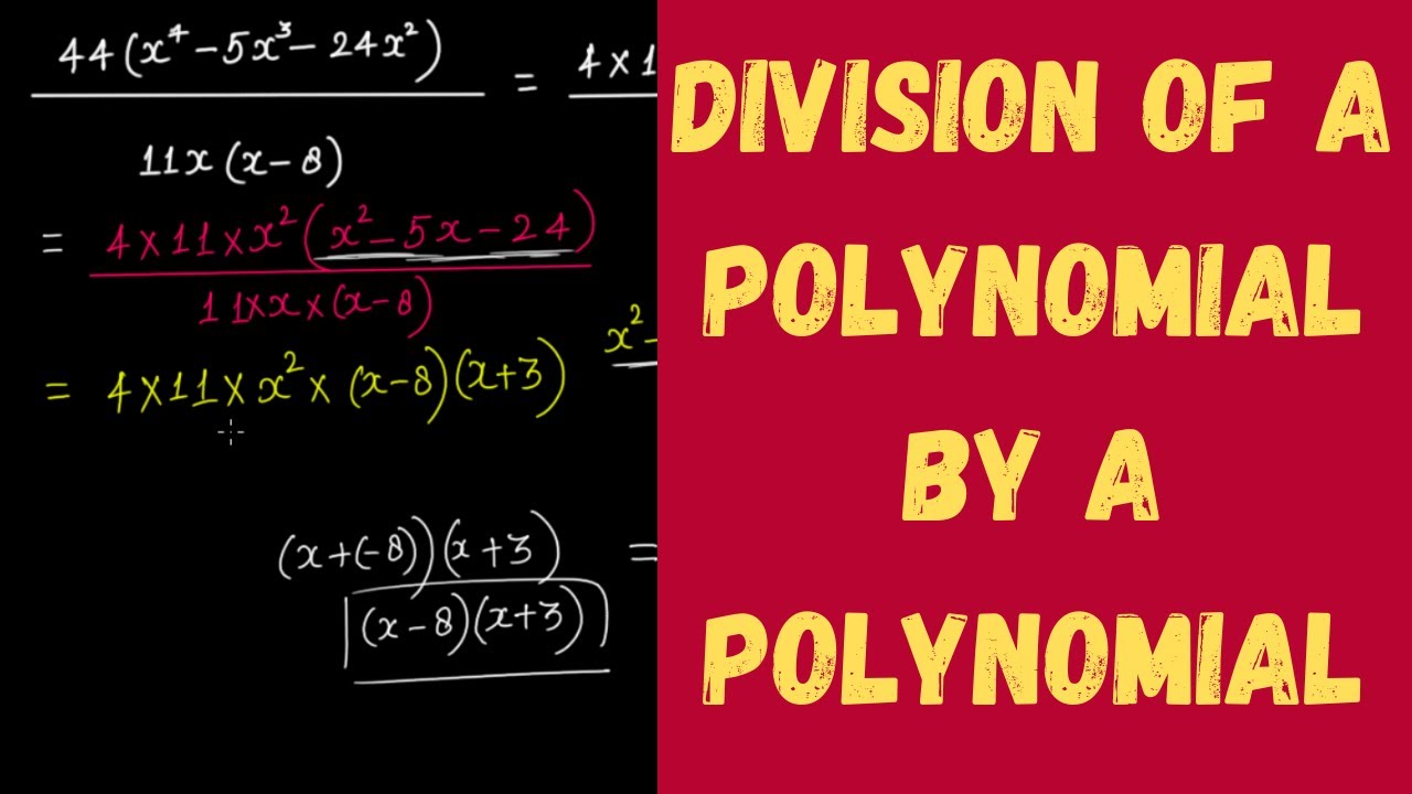 Division of a Polynomial by a Polynomial || Factorisation || Grade 8