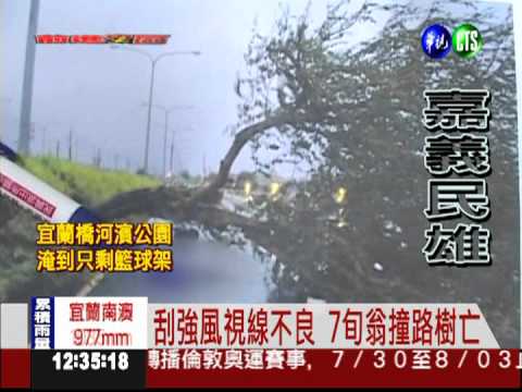 刮強風視線差 嘉義7旬翁撞樹亡