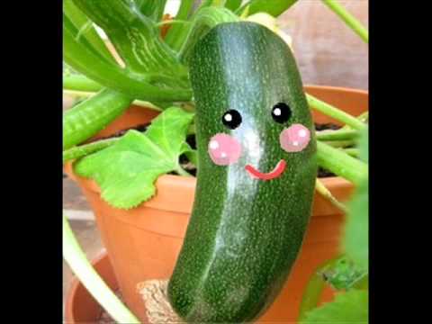 NonnoGio   Mi piace la zucchina!