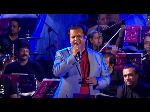 Hum Na Samjhe The cover