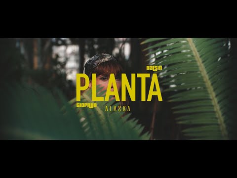 Dalsin, Adonai - PLANTA (GioProd)
