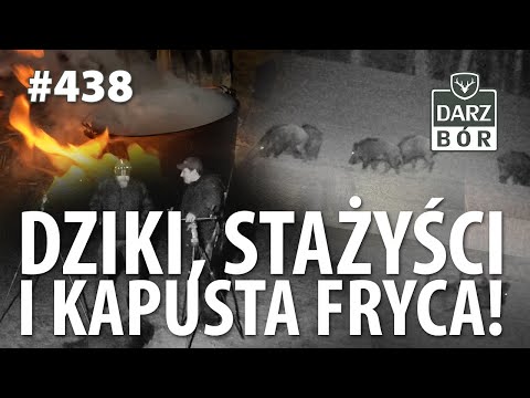 Darz Bór odc. 438 Dziki, Stażyści i Kapusta Fryca!