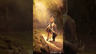 Edolavundi  THAMMUDU