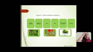 Vamos Falar De Evolução Das Plantas? A Sistemática Filogenética Na Classificação Dos Seres Vivos