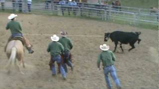 preview picture of video 'Ranch Rodeo Wild cow milking 2010.MPG'
