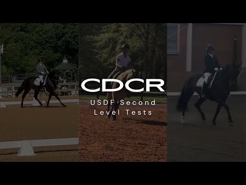 USDF Second Level Tests | Classical Dressage Coach Review | Dressage Tests