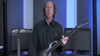 Adrian Belew Signature Parker Fly