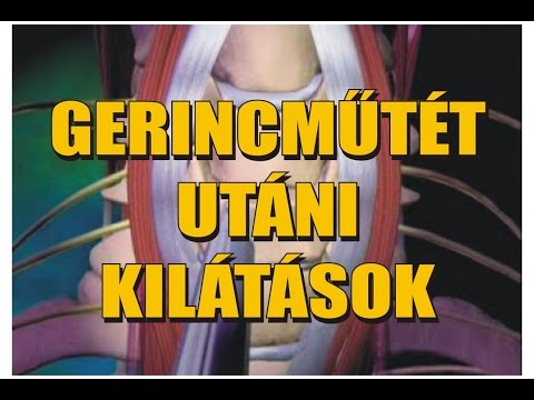 Ízületi gyulladás kórokozói