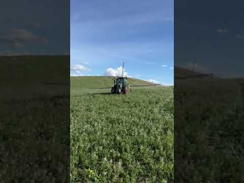 Video 13