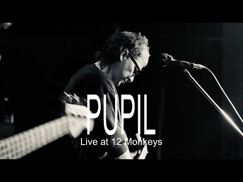 Pupil - Live at 12 Monkeys March 2 2024