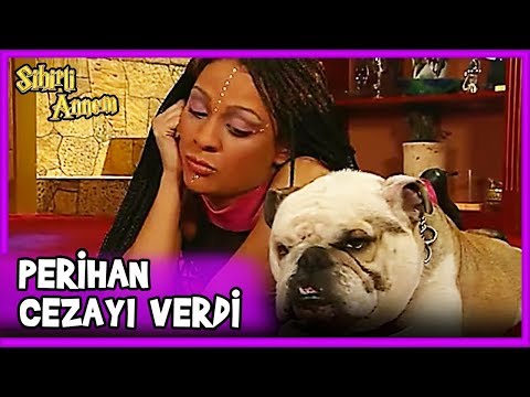 Perihan, Dudu, Taci ve Eda'yı Cezalandırdı - Sihirli Annem 7.Bölüm