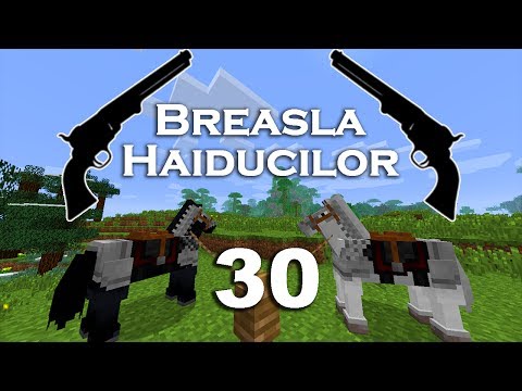 Breasla Haiducilor S01E30 - Sumar Livestream 2 Decembrie