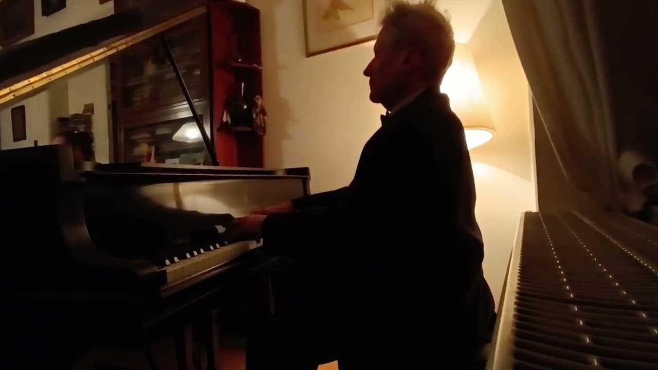 Franz Schubert: Impromptus op. 142 No. 1 and 2 - Tomáš Víšek 