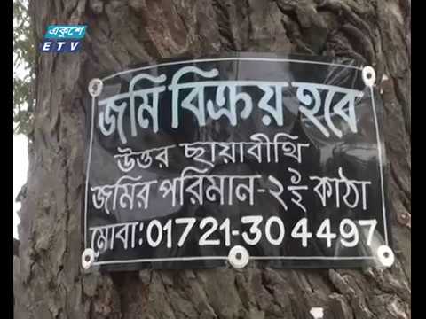 যত্রতত্র গাছে পেড়েক পুতে সাইনবোর্ডের অত্যাচার