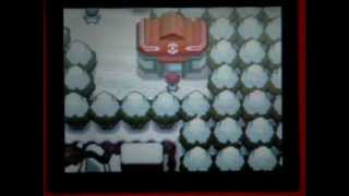 preview picture of video 'Mon premier shiny / My first Shiny ! 6317 RE's'