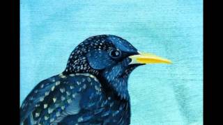 Connie Converse - Down this Road