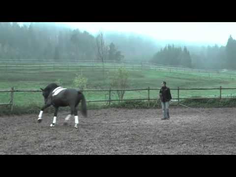 Fürstenball Rotspon